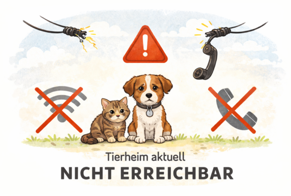 ‼️ Eingeschränkte Erreichbarkeit wegen Telefon- und Internetausfall ‼️ Eingeschränkte Erreichbarkeit wegen Telefon- und Internetausfall