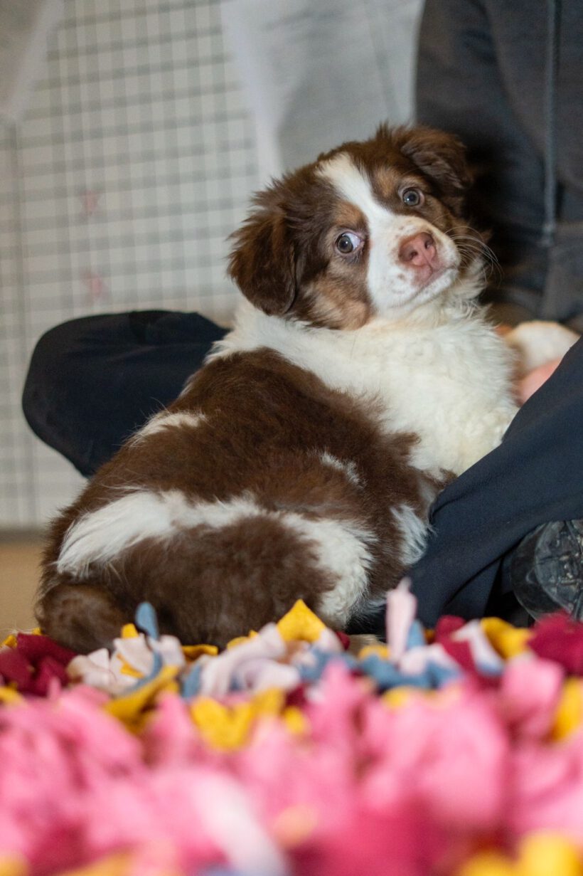 Hazel – Kleine Abenteurerin mit Gute-Laune-Garantie! Hazel – Kleine Abenteurerin mit Gute-Laune-Garantie!