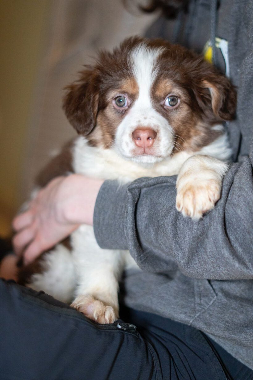 Hazel – Kleine Abenteurerin mit Gute-Laune-Garantie! Hazel – Kleine Abenteurerin mit Gute-Laune-Garantie!