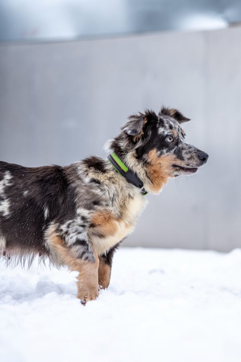 Elara – Lebenslustige „Diskussionsleiterin“ sucht Souveränität und Struktur!