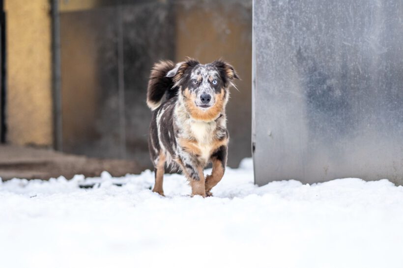 Elara – Lebenslustige „Diskussionsleiterin“ sucht Souveränität und Struktur!