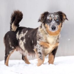 Elara – Lebenslustige „Diskussionsleiterin“ sucht Souveränität und Struktur!