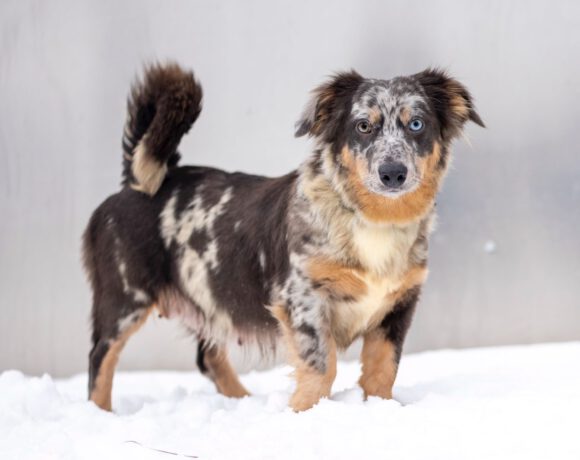 Elara – Lebenslustige „Diskussionsleiterin“ sucht Souveränität und Struktur!