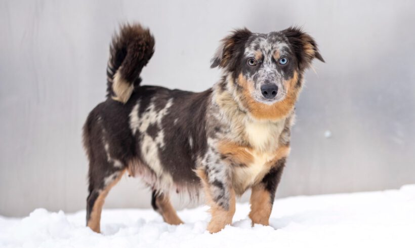 Elara – Lebenslustige „Diskussionsleiterin“ sucht Souveränität und Struktur!