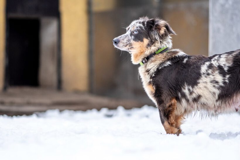 Elara – Lebenslustige „Diskussionsleiterin“ sucht Souveränität und Struktur!