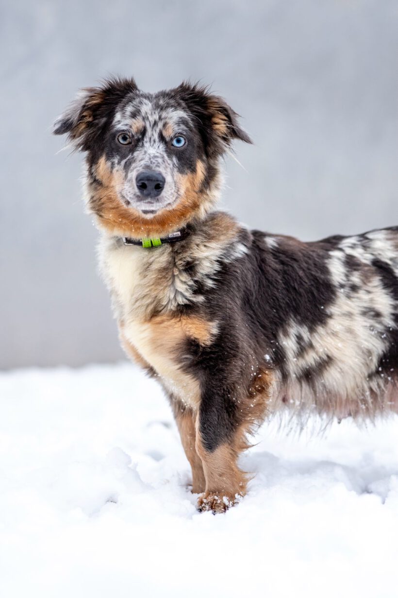 Elara – Lebenslustige „Diskussionsleiterin“ sucht Souveränität und Struktur!