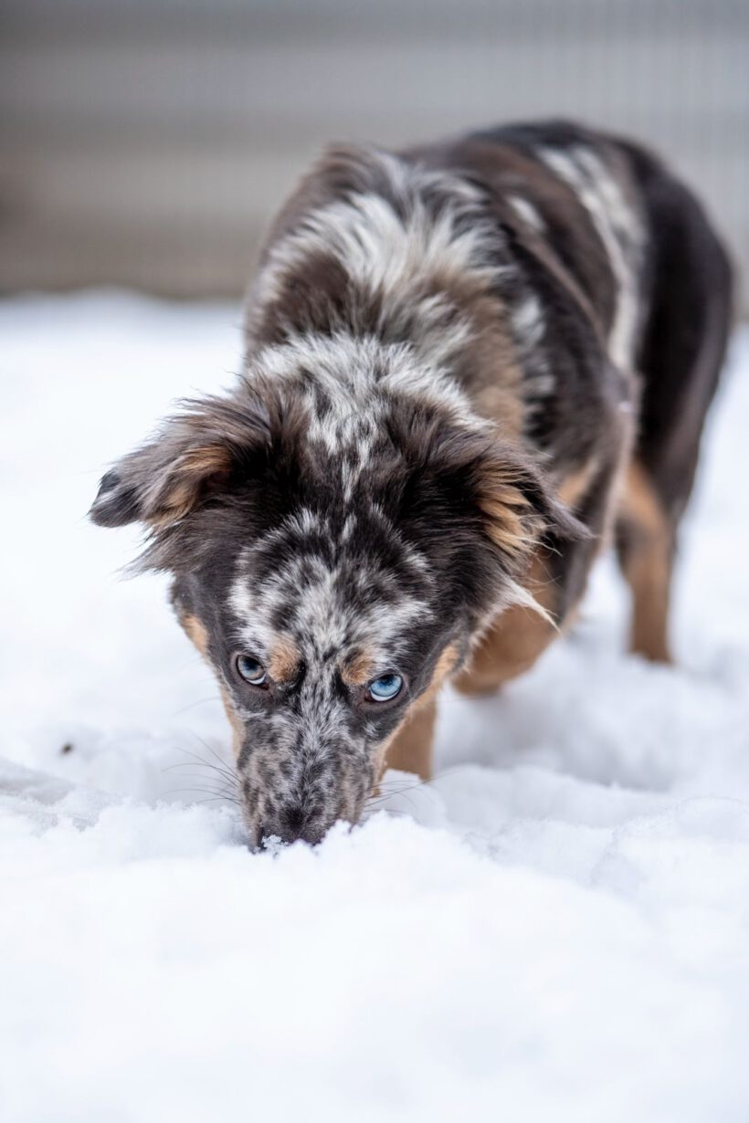 Elara – Lebenslustige „Diskussionsleiterin“ sucht Souveränität und Struktur!