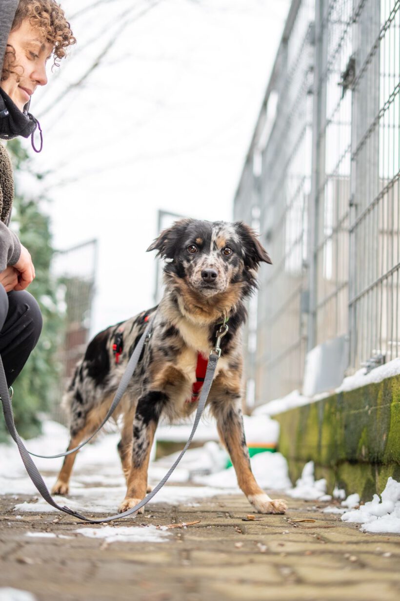 Loona – Sanfte Seele sucht Beständigkeit und Herz! Loona – Sanfte Seele sucht Beständigkeit und Herz!