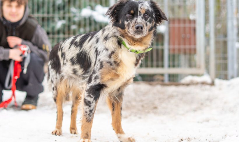 Loona – Sanfte Seele sucht Beständigkeit und Herz!