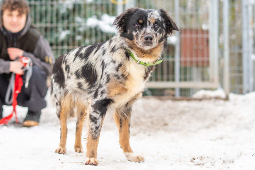 Loona – Sanfte Seele sucht Beständigkeit und Herz! Loona – Sanfte Seele sucht Beständigkeit und Herz!