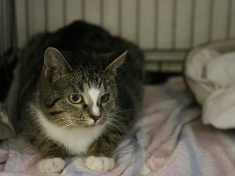 Annalena & Mercedes Annalena & Mercedes