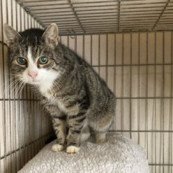 Patti – Seniorin sucht liebevollen Lebensabend