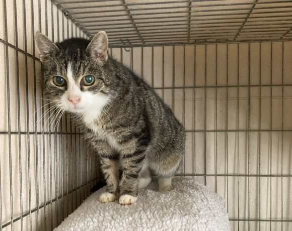 Patti – Seniorin sucht liebevollen Lebensabend Patti – Seniorin sucht liebevollen Lebensabend