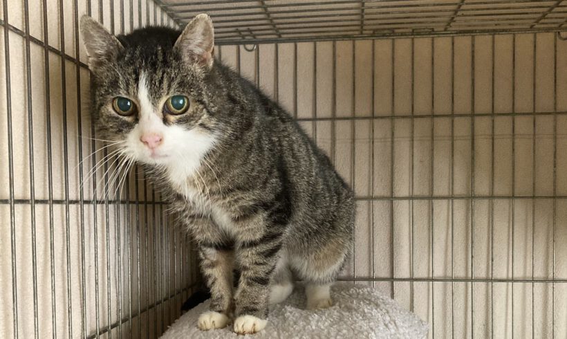 Patti – Seniorin sucht liebevollen Lebensabend