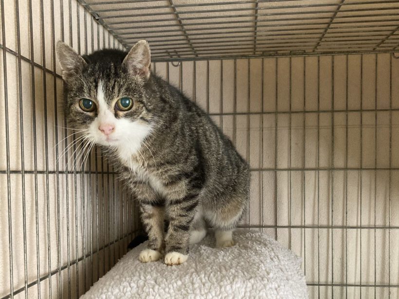 Patti – Seniorin sucht liebevollen Lebensabend