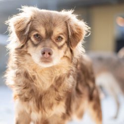 Myval – Sensibler Beobachter sucht seinen sicheren Hafen!