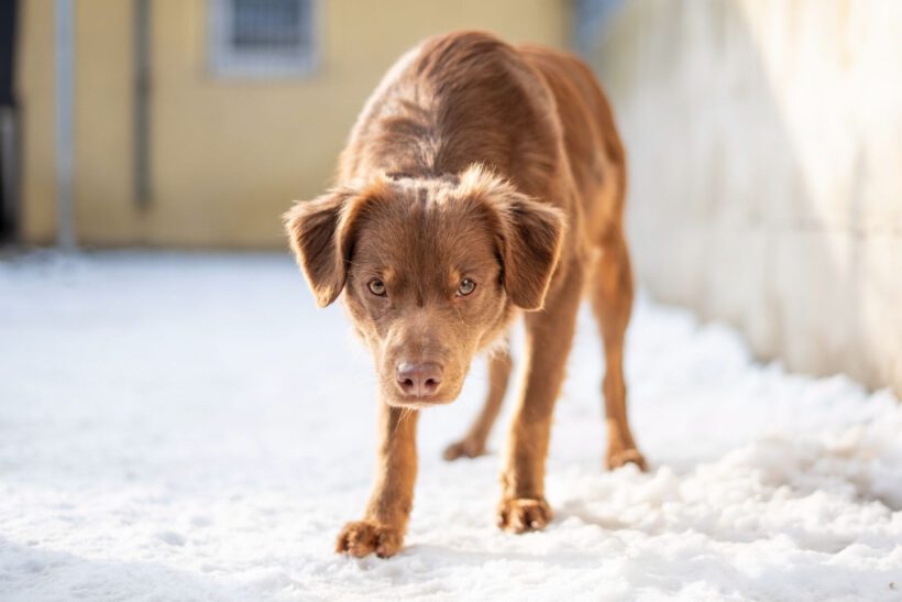 Jatra – Sensibler Rohdiamant sucht Fels in der Brandung