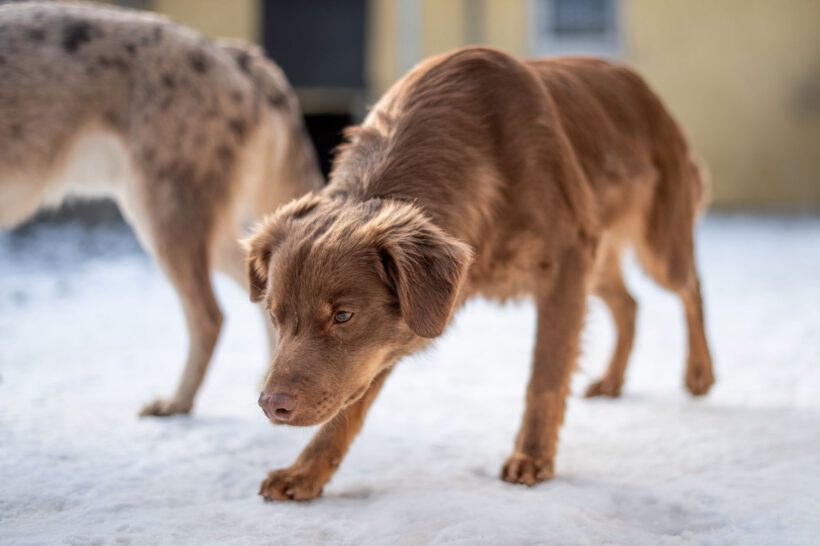 Jatra – Sensibler Rohdiamant sucht Fels in der Brandung