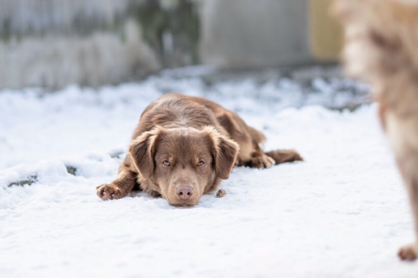 Jatra – Sensibler Rohdiamant sucht Fels in der Brandung