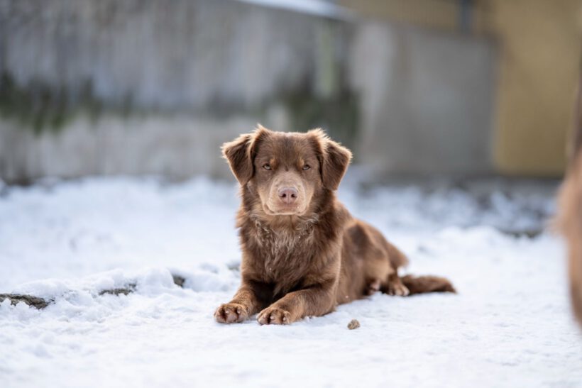 Jatra – Sensibler Rohdiamant sucht Fels in der Brandung