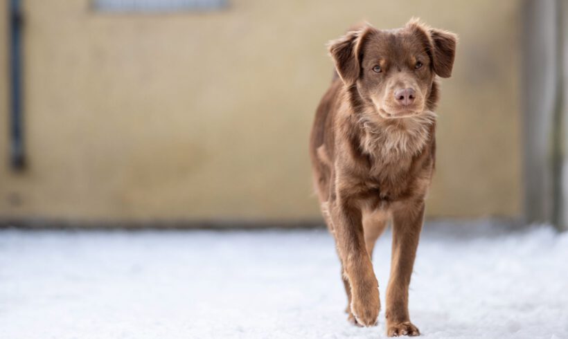 Jatra – Sensibler Rohdiamant sucht Fels in der Brandung