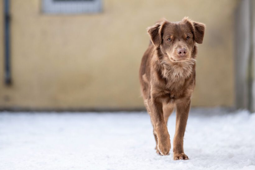 Jatra – Sensibler Rohdiamant sucht Fels in der Brandung