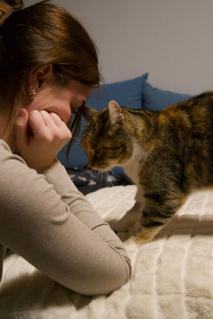 Judy – Liebevoll, verschmust und auf der Suche nach ihrem Zuhause Judy – Liebevoll, verschmust und auf der Suche nach ihrem Zuhause