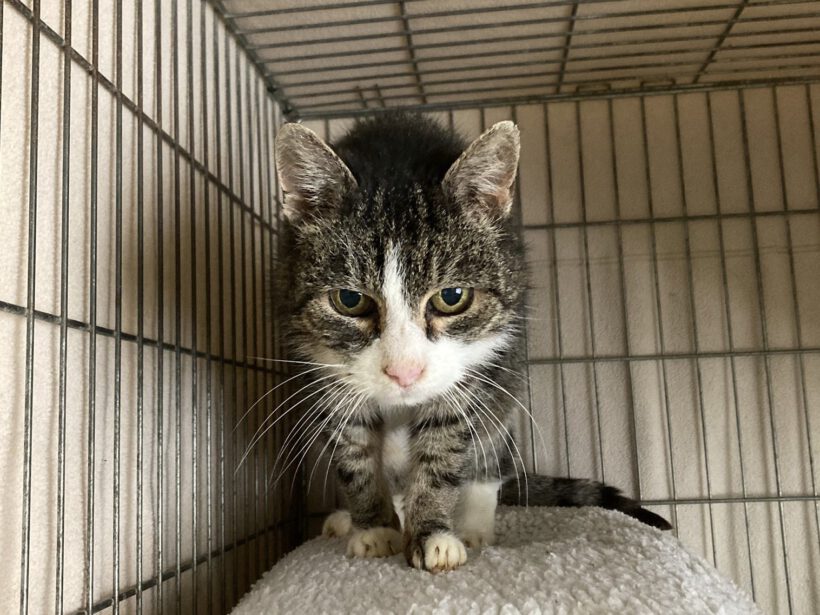 Patti – Seniorin sucht liebevollen Lebensabend