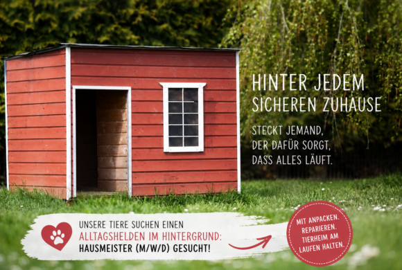 Alltagsheld gesucht: Hausmeister (m/w/d)