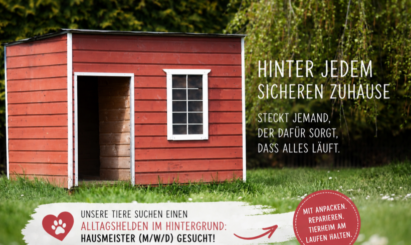 Alltagsheld gesucht: Hausmeister (m/w/d)
