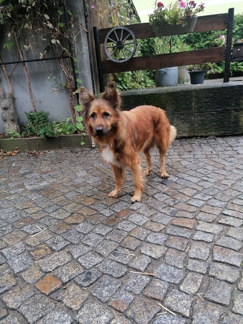 Luna – Privatvermittlung Luna – Privatvermittlung
