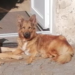 Luna – Privatvermittlung