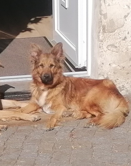 Luna – Privatvermittlung Luna – Privatvermittlung