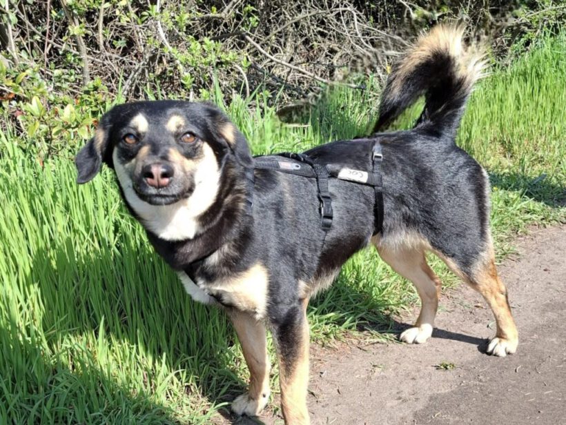 Coco