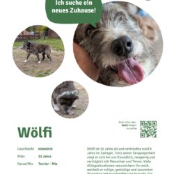 Wölfi