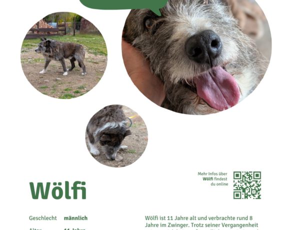 Wölfi