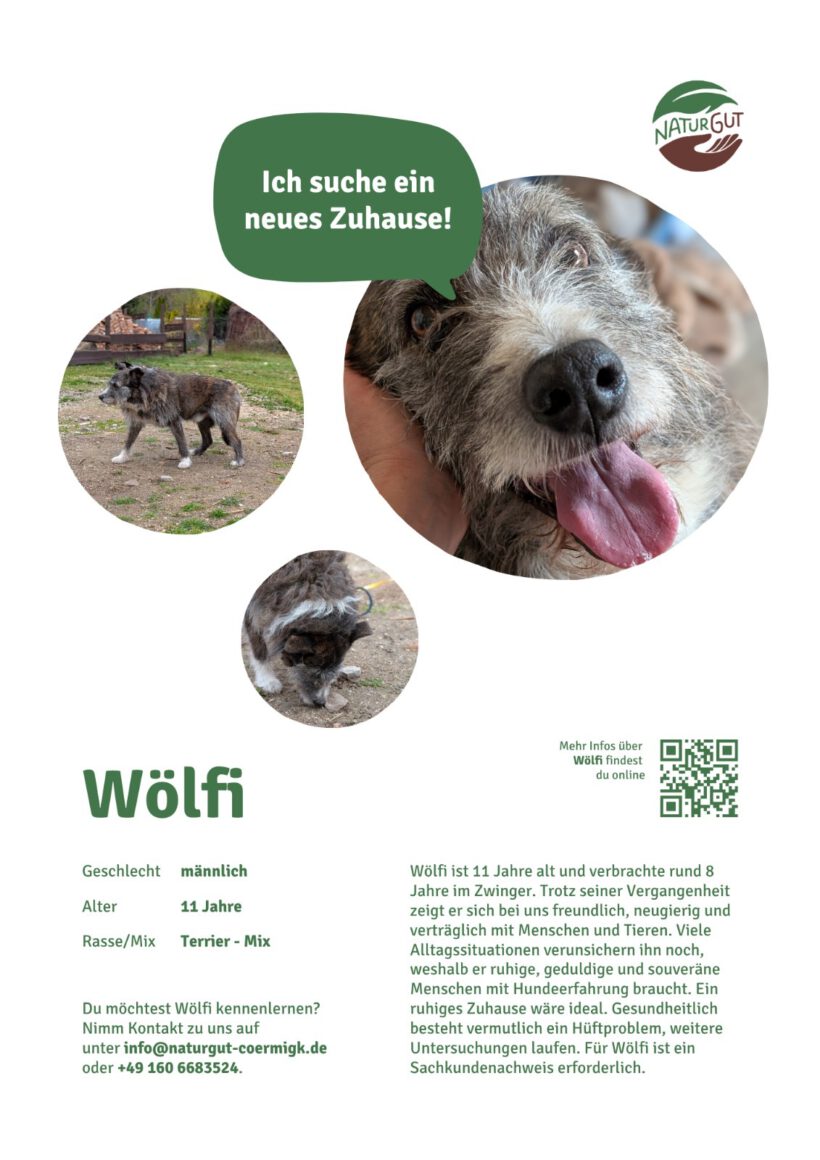 Wölfi