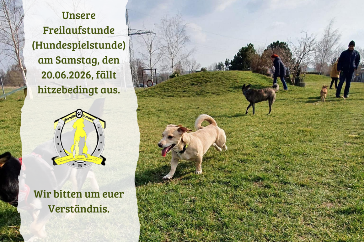 Freilaufstunde am 20.06.2026 fällt hitzebedingt aus
