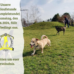 Freilaufstunde am 20.06.2026 fällt hitzebedingt aus Freilaufstunde am 20.06.2026 fällt hitzebedingt aus