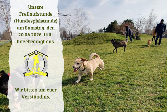 Freilaufstunde am 20.06.2026 fällt hitzebedingt aus