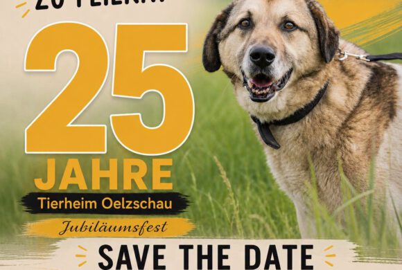 Save the Date: Jubiläumsfest am 26.09.2026!