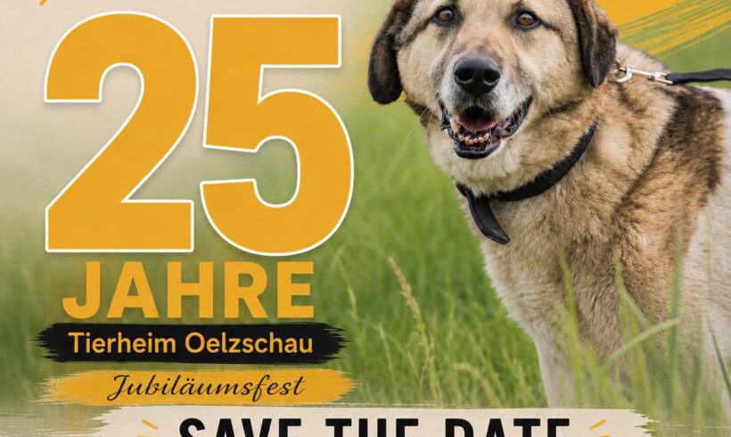 Save the Date: Jubiläumsfest am 26.09.2026!
