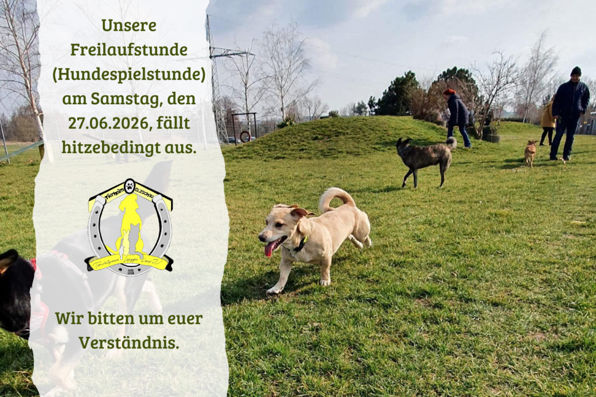 Freilaufstunde am 27.06.2026 fällt hitzebedingt aus
