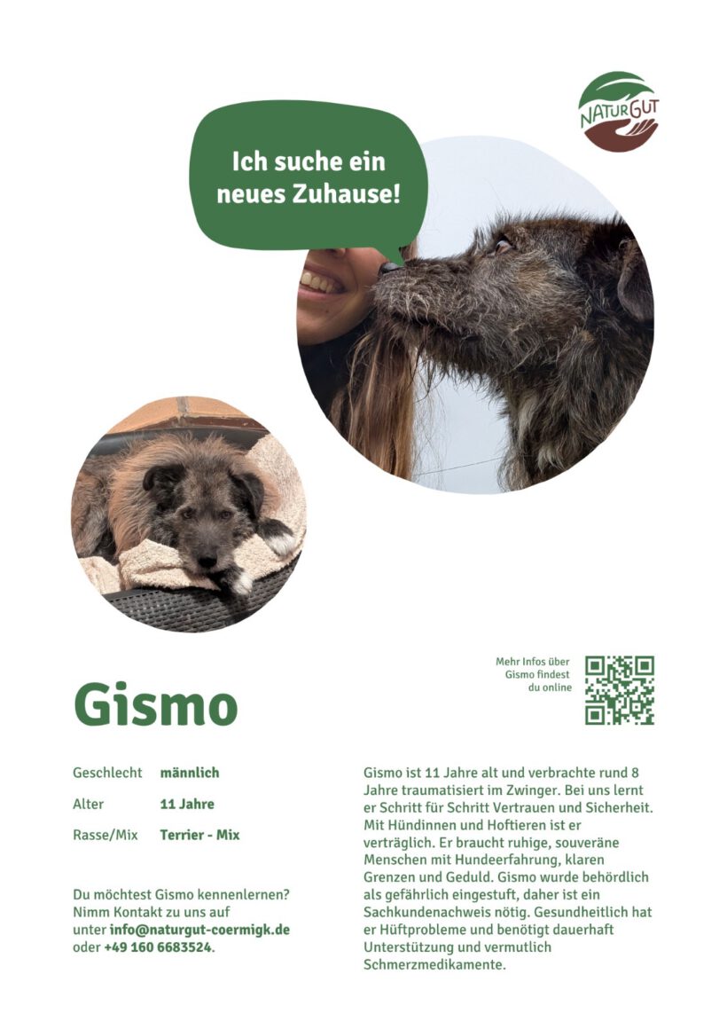 Gismo