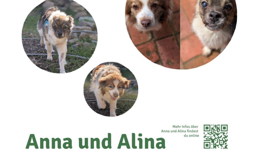Anna & Alina