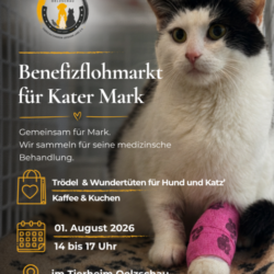 Gemeinsam für Mark – Benefizflohmarkt am 01.08.2026 Gemeinsam für Mark – Benefizflohmarkt am 01.08.2026