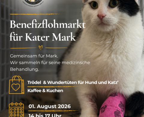 Gemeinsam für Mark – Benefizflohmarkt am 01.08.2026