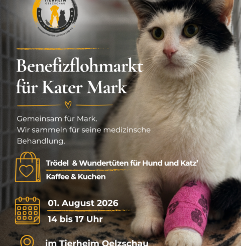 Gemeinsam für Mark – Benefizflohmarkt am 01.08.2026