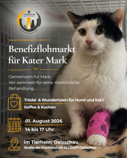 Gemeinsam für Mark – Benefizflohmarkt am 01.08.2026 Gemeinsam für Mark – Benefizflohmarkt am 01.08.2026