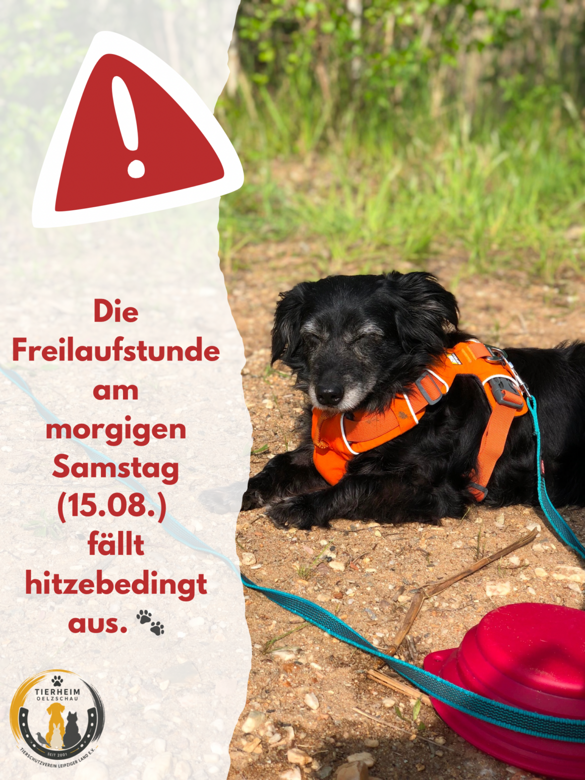 Freilaufstunde am 15.08. fällt hitzebedingt aus!